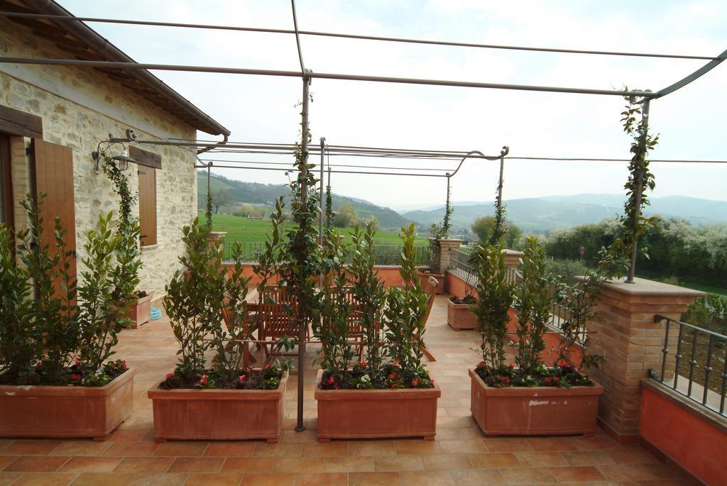 Agriturismo Casale Le Selvette Ripa Exterior photo